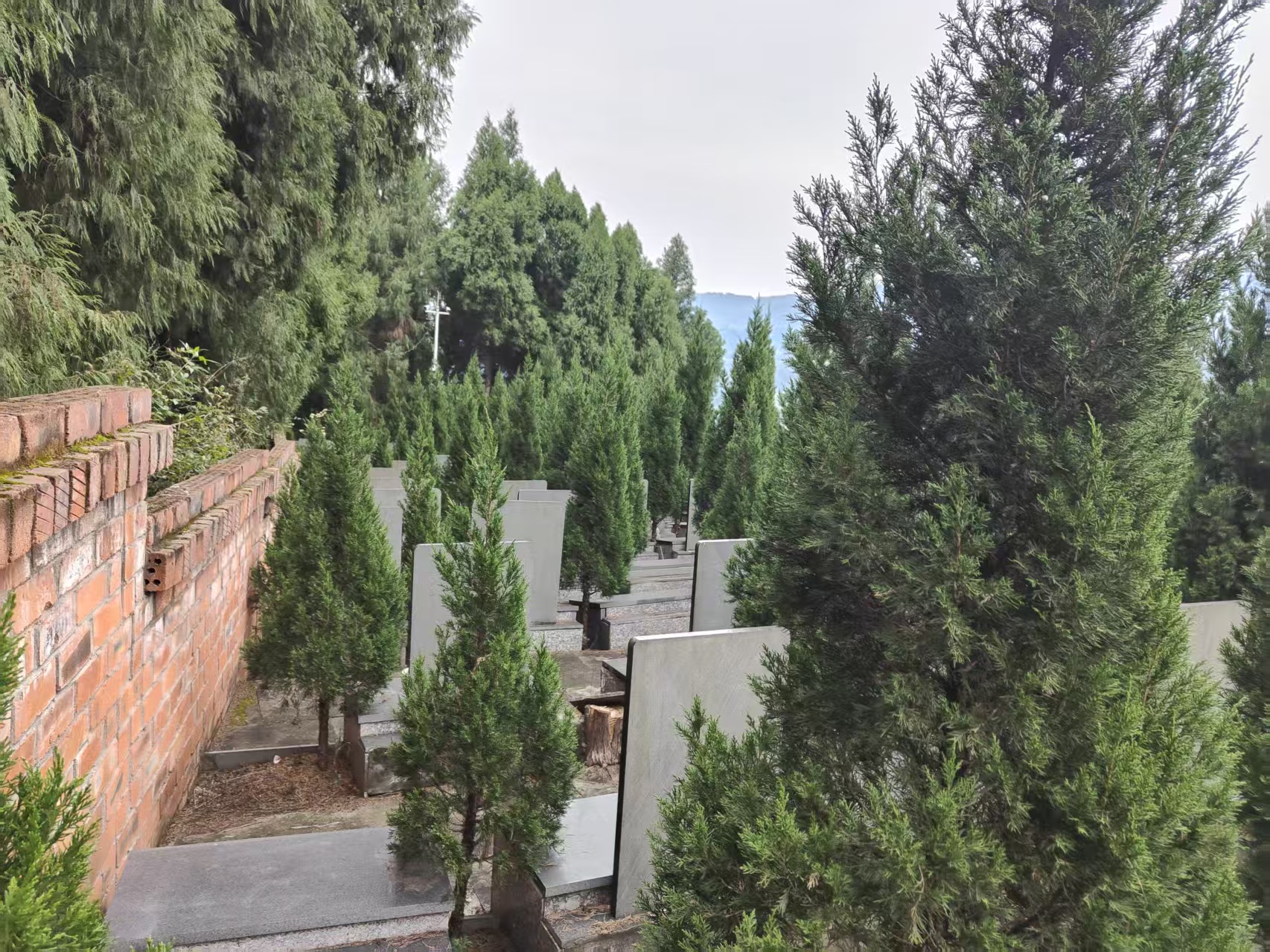金龙山公墓实景3